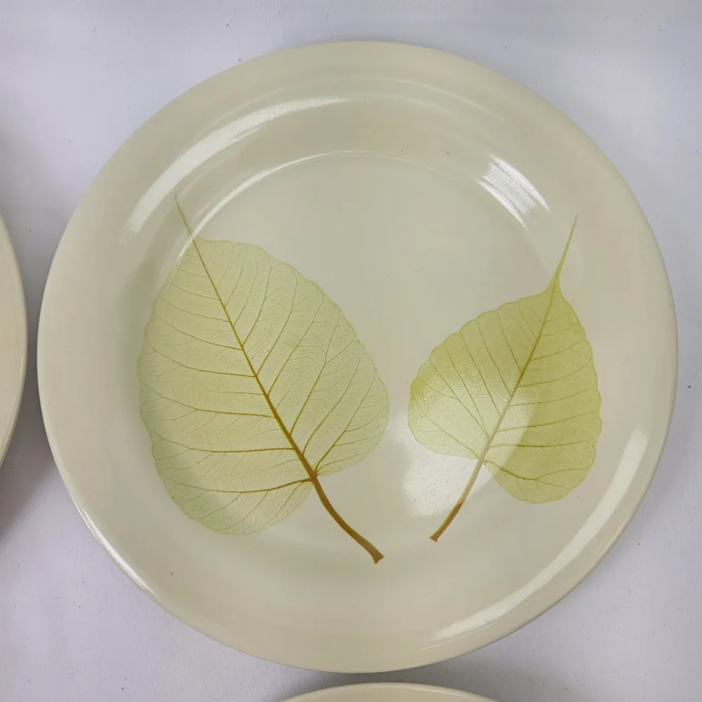 Pier 1 Aspen Stoneware Salad Dessert Plates Set of 4